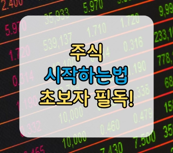 주식 시작하는법 초보자를 위한 커리큘럼